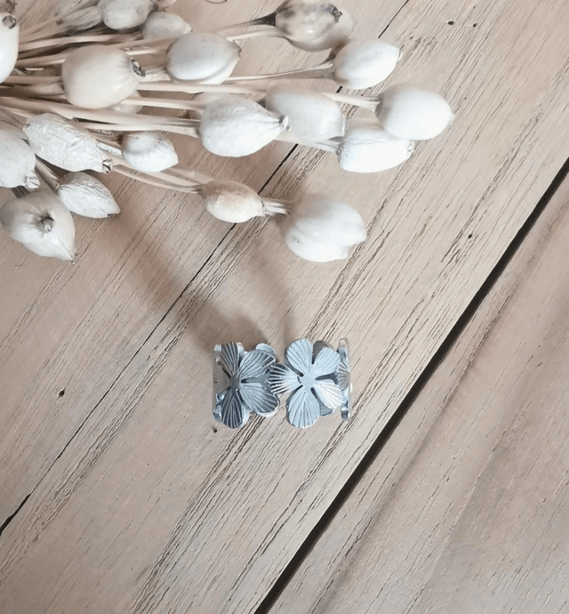 DAISY